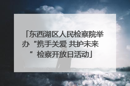 东西湖区人民检察院举办“携手关爱 共护未来”检察开放日活动