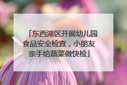 东西湖区开展幼儿园食品安全检查，小朋友亲手给蔬菜做快检
