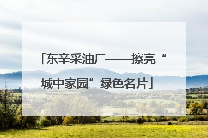 东辛采油厂——擦亮“城中家园”绿色名片