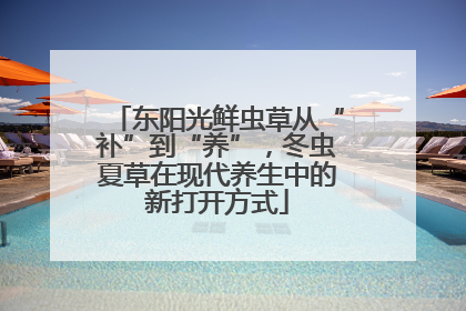 东阳光鲜虫草从“补”到“养”，冬虫夏草在现代养生中的新打开方式