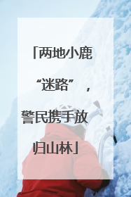 两地小鹿“迷路”，警民携手放归山林