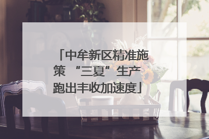 中牟新区精准施策 “三夏”生产跑出丰收加速度
