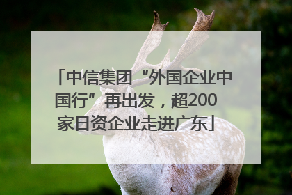 中信集团“外国企业中国行”再出发，超200家日资企业走进广东