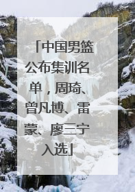 中国男篮公布集训名单，周琦、曾凡博、雷蒙、廖三宁入选