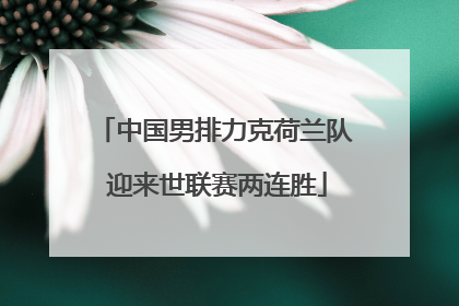 中国男排力克荷兰队 迎来世联赛两连胜