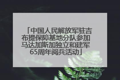 中国人民解放军驻吉布提保障基地分队参加马达加斯加独立和建军65周年阅兵活动