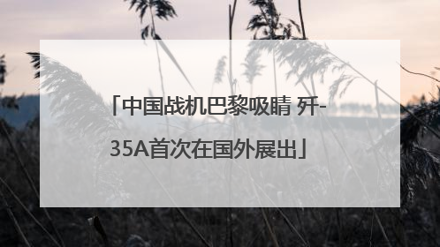 中国战机巴黎吸睛 歼-35A首次在国外展出