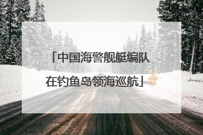 中国海警舰艇编队在钓鱼岛领海巡航