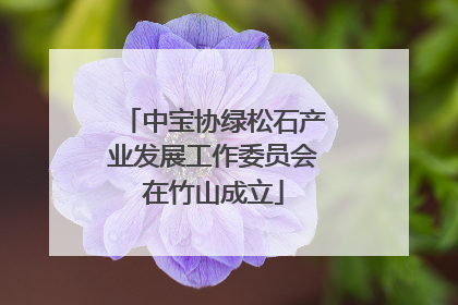 中宝协绿松石产业发展工作委员会在竹山成立