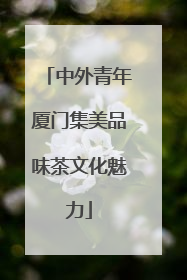 中外青年厦门集美品味茶文化魅力