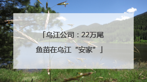乌江公司：22万尾鱼苗在乌江“安家”