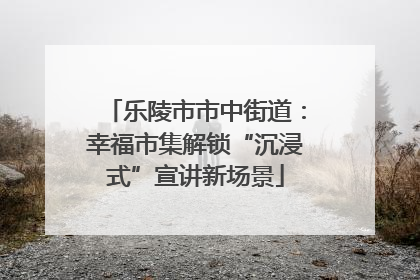 乐陵市市中街道：幸福市集解锁“沉浸式”宣讲新场景