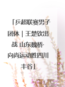 乒超联赛男子团体｜王楚钦出战 山东魏桥·向尚运动胜四川丰谷