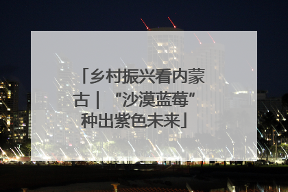 乡村振兴看内蒙古｜“沙漠蓝莓”种出紫色未来
