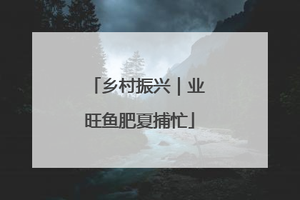 乡村振兴｜业旺鱼肥夏捕忙