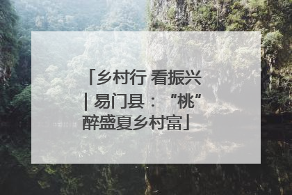 乡村行 看振兴｜易门县：“桃”醉盛夏乡村富