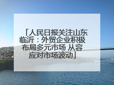 人民日报关注山东临沂：外贸企业积极布局多元市场 从容应对市场波动