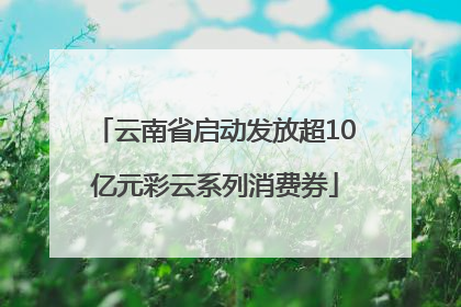 云南省启动发放超10亿元彩云系列消费券