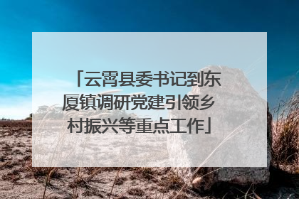 云霄县委书记到东厦镇调研党建引领乡村振兴等重点工作