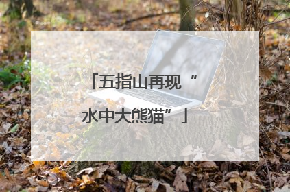 五指山再现“水中大熊猫”