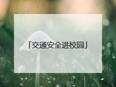 交通安全进校园