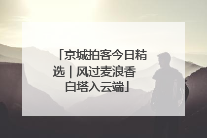京城拍客今日精选｜风过麦浪香 白塔入云端