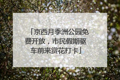 京西月季洲公园免费开放，市民假期驱车前来赏花打卡