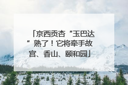 京西贡杏“玉巴达”熟了！它将牵手故宫、香山、颐和园