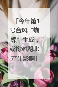今年第1号台风“蝴蝶”生成，或将对湖北产生影响