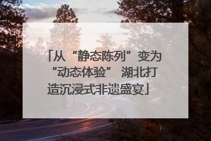 从“静态陈列”变为“动态体验” 湖北打造沉浸式非遗盛宴