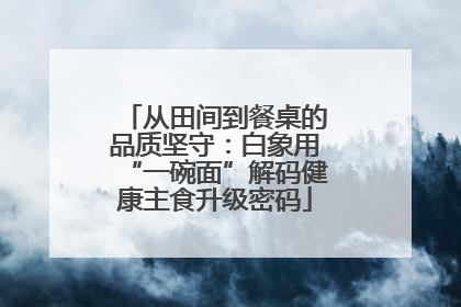 从田间到餐桌的品质坚守：白象用“一碗面”解码健康主食升级密码