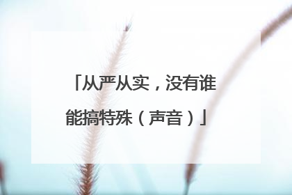 从严从实，没有谁能搞特殊（声音）