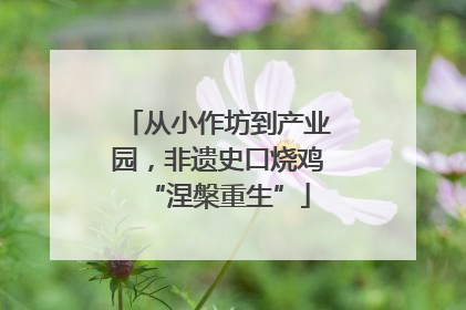 从小作坊到产业园，非遗史口烧鸡“涅槃重生”
