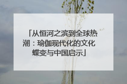 从恒河之滨到全球热潮：瑜伽现代化的文化蝶变与中国启示