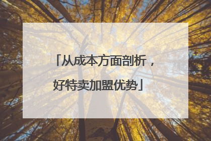 从成本方面剖析，好特卖加盟优势