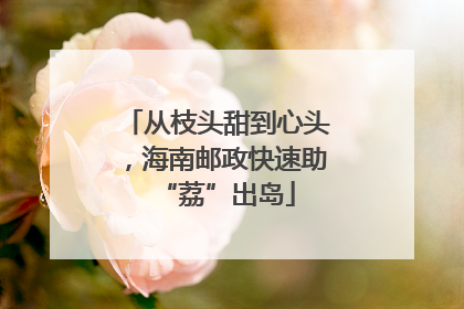 从枝头甜到心头，海南邮政快速助“荔”出岛