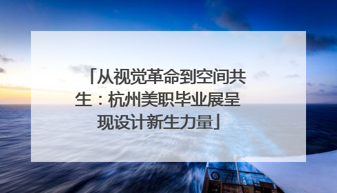 从视觉革命到空间共生：杭州美职毕业展呈现设计新生力量