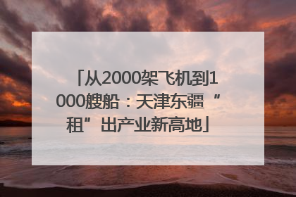 从2000架飞机到1000艘船：天津东疆“租”出产业新高地