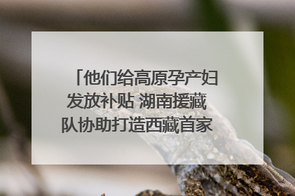 他们给高原孕产妇发放补贴 湖南援藏队协助打造西藏首家高原产儿协同中心