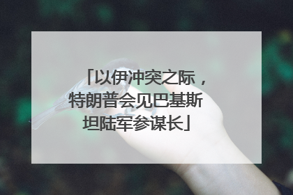 以伊冲突之际，特朗普会见巴基斯坦陆军参谋长