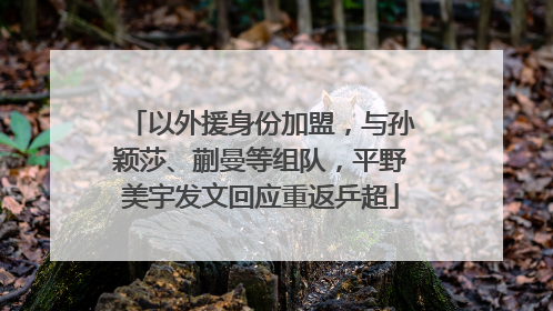以外援身份加盟，与孙颖莎、蒯曼等组队，平野美宇发文回应重返乒超