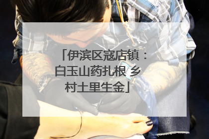 伊滨区寇店镇：白玉山药扎根 乡村土里生金