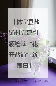 休宁县盐铺村党建引领绘就“花开盐铺”新图景