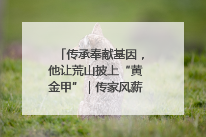 传承奉献基因，他让荒山披上“黄金甲”｜传家风薪火 颂家国情深
