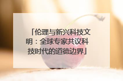 伦理与新兴科技文明：全球专家共议科技时代的道德边界