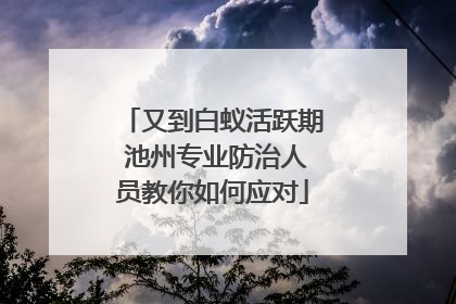 又到白蚁活跃期 池州专业防治人员教你如何应对