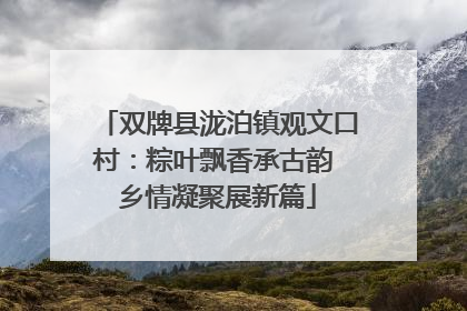 双牌县泷泊镇观文口村：粽叶飘香承古韵 乡情凝聚展新篇