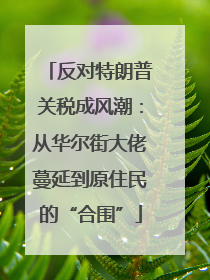 反对特朗普关税成风潮：从华尔街大佬蔓延到原住民的“合围”