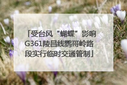 受台风“蝴蝶”影响 G361陵昌线鹦哥岭路段实行临时交通管制
