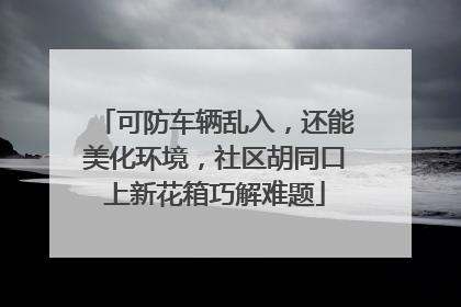 可防车辆乱入，还能美化环境，社区胡同口上新花箱巧解难题